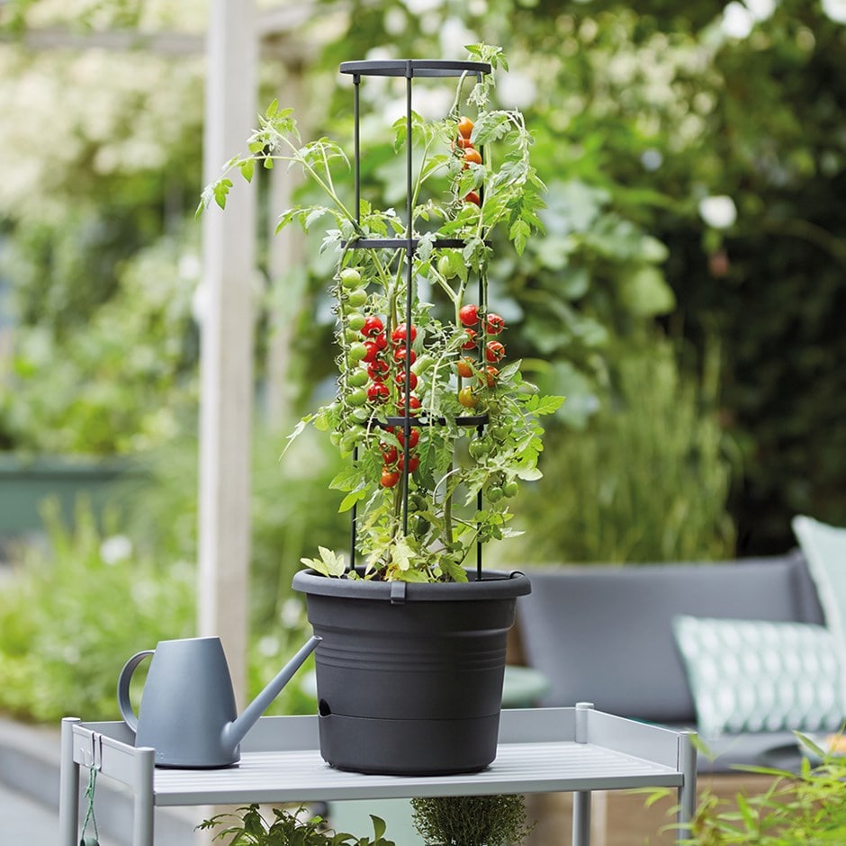 Tomato grow pot with adjustable frame - black