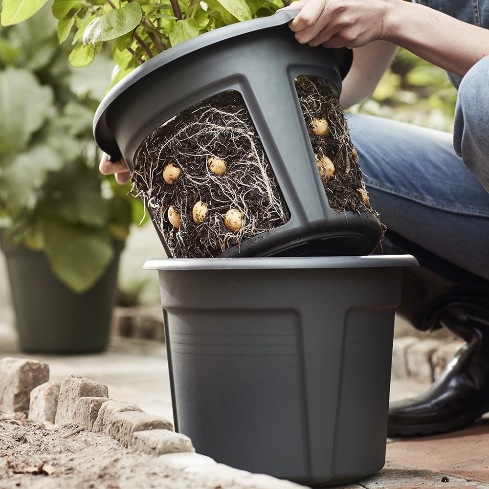 Small space potato plant pot - black