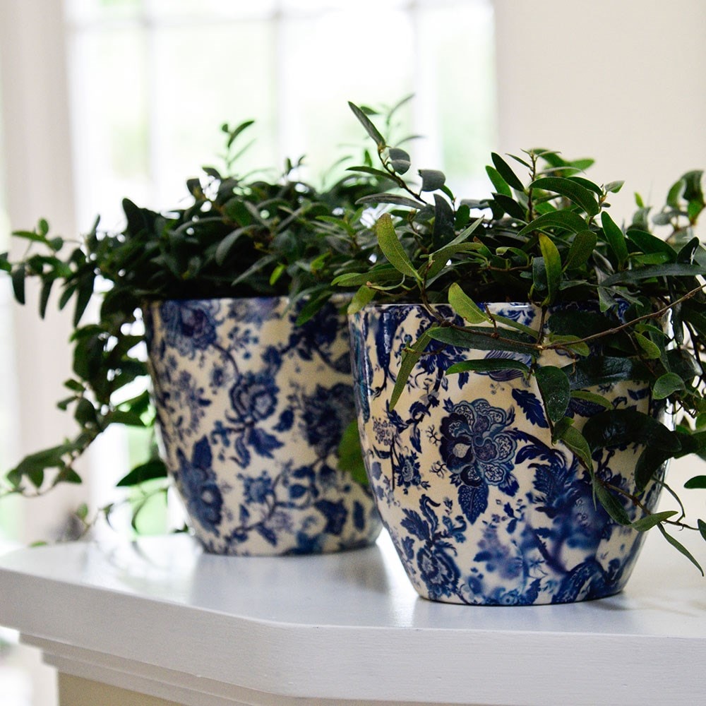 Vintage floral print plant pot - blue