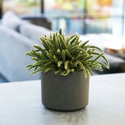 Leon granite style planter