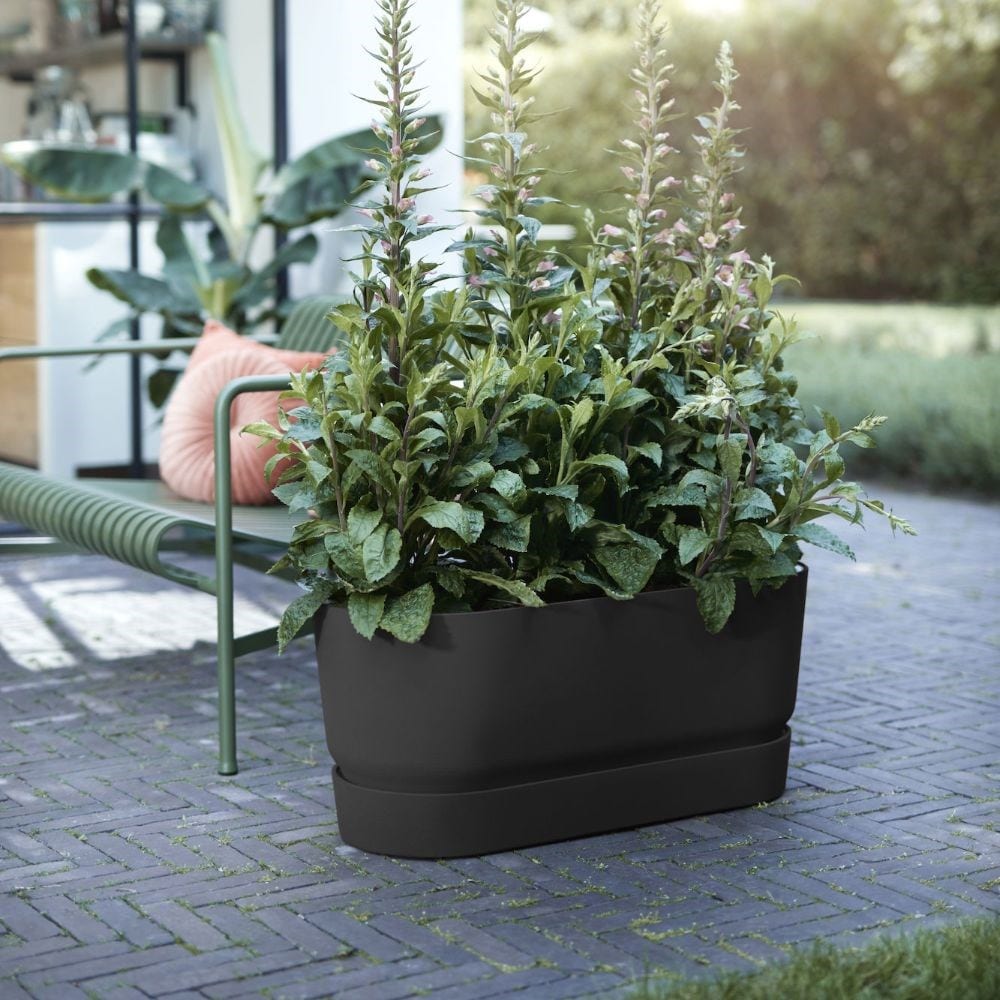 Greenville terrace trough on wheels - black