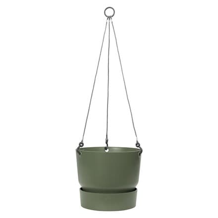 Greenville hanging basket green