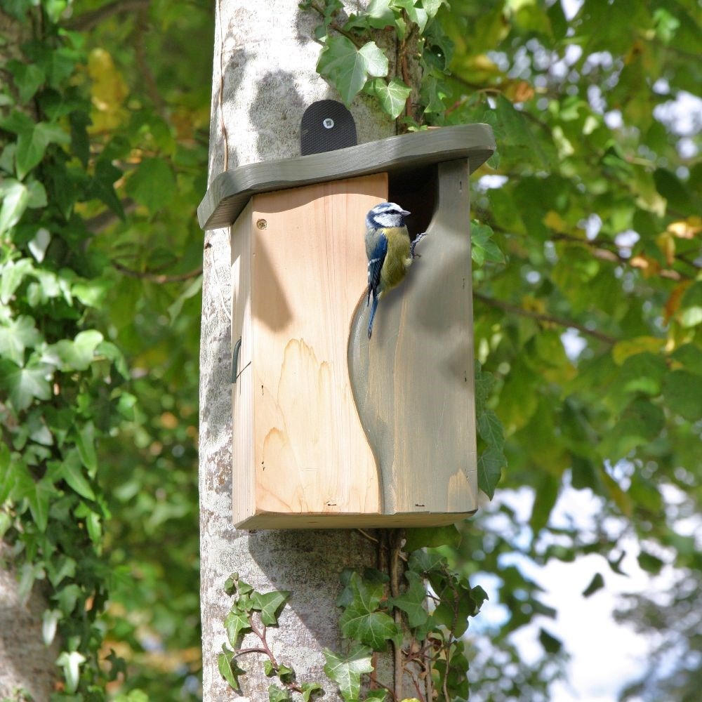 Scatola Di Nidificazione in Legno Nido Bird House piccola Wild Bird Garden TIT Sparrow Robin UK 