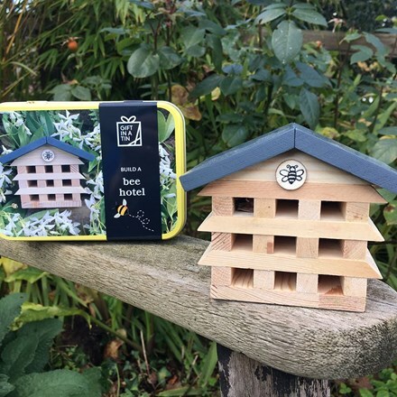 Build a bee hotel gift set