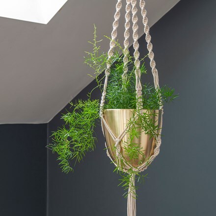 Picture of Macrame hanger with brushed brass pot