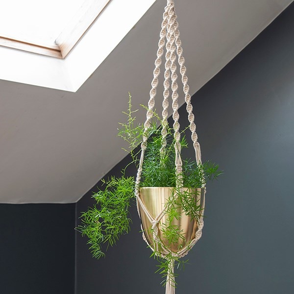 Macrame hanger with brushed brass pot