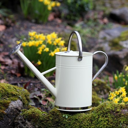 Buy Watering Cans Delivery By Crocus