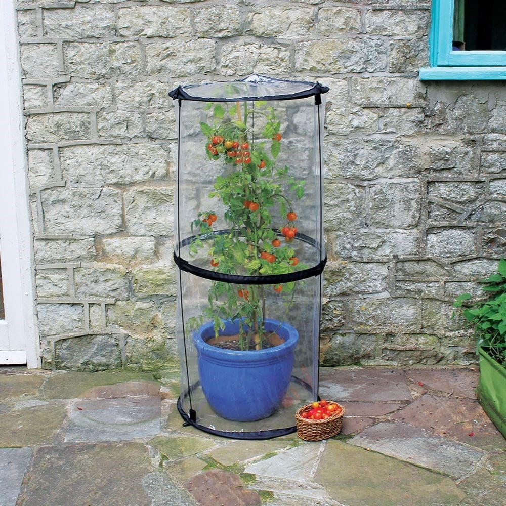 Product options image