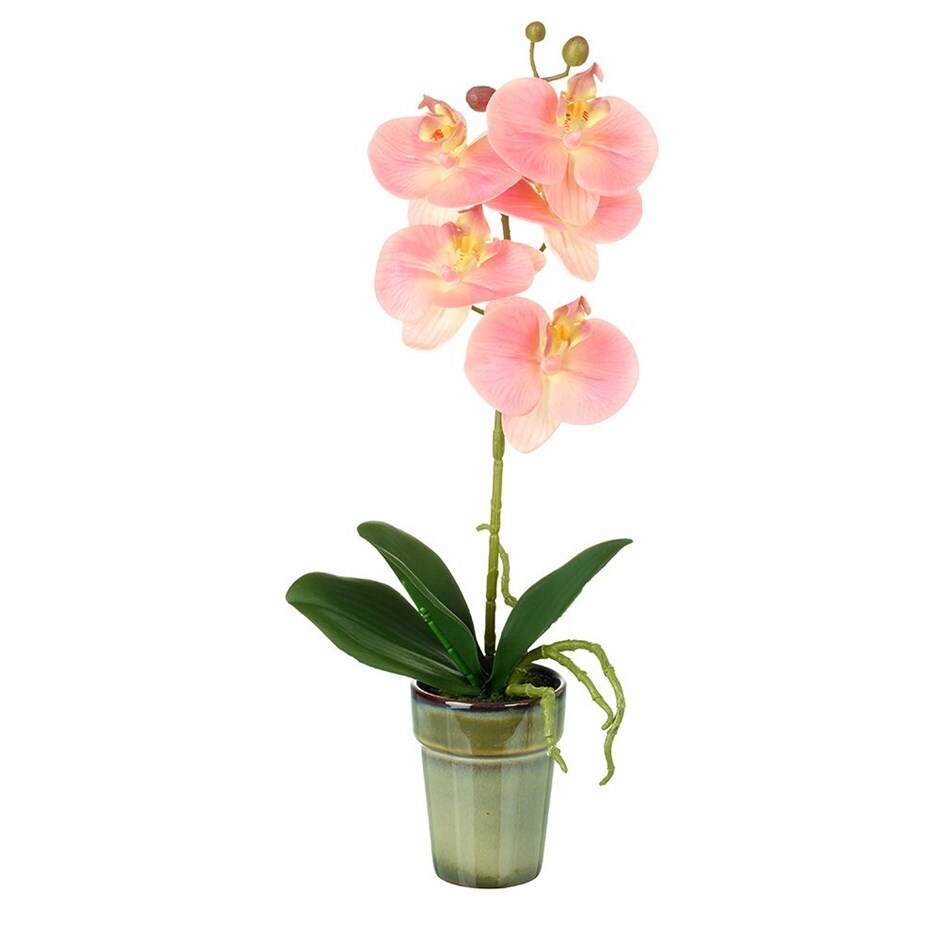 Buy Potted Artificial Orchid Phalaenopsis Delivery By Crocus