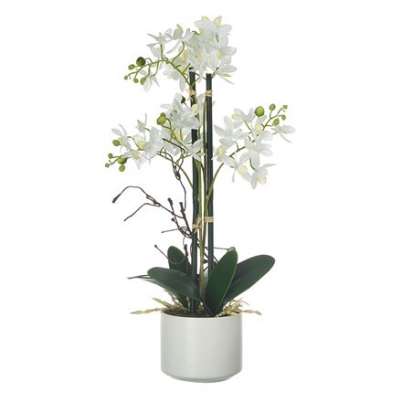 Buy Potted Artificial Phalaenopsis Delivery By Crocus