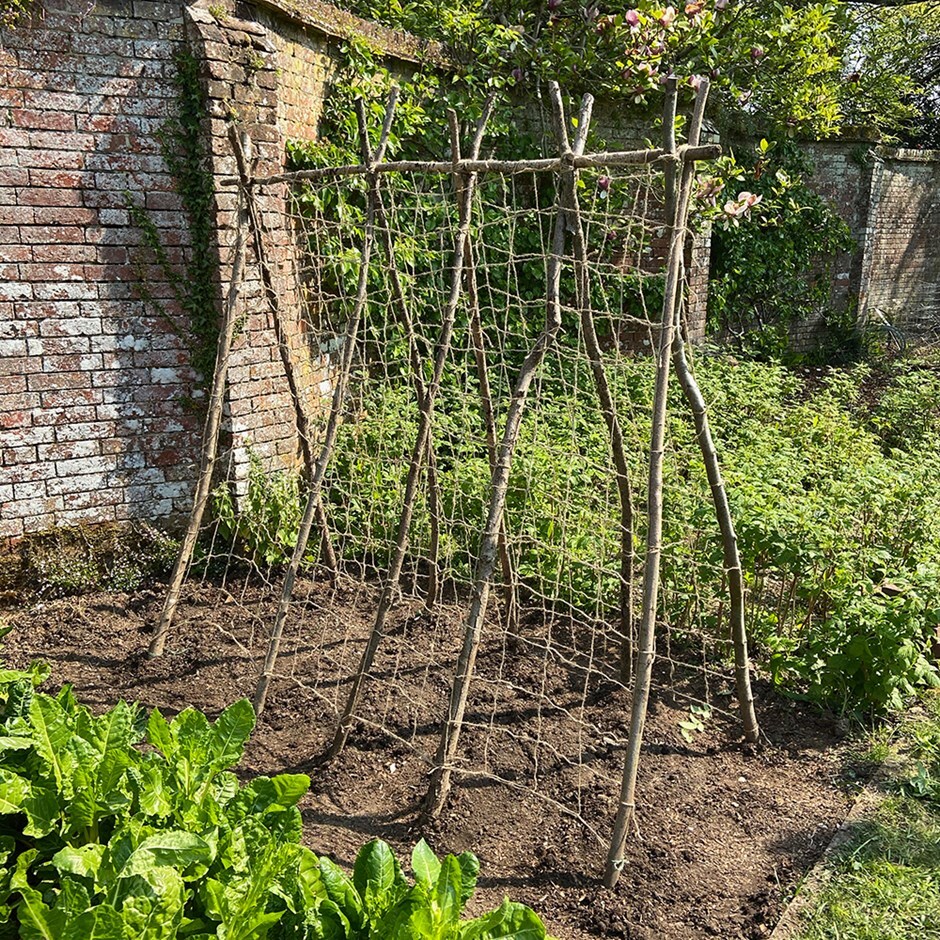 Buy Jute garden netting: Delivery by Waitrose Garden