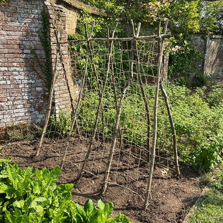 Jute garden netting