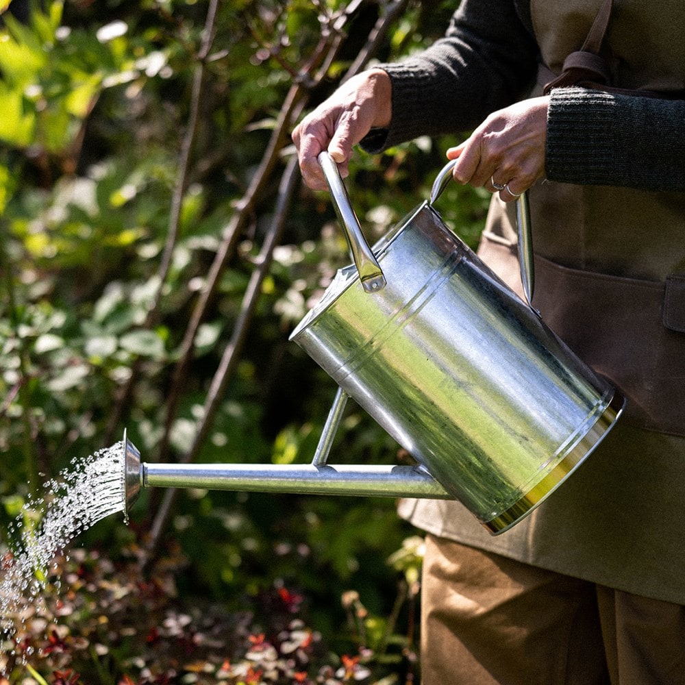 Product options image