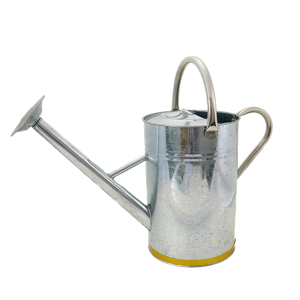 Metal watering can - gold trim