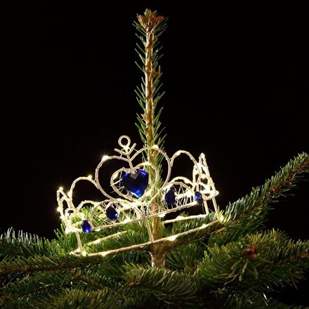 Buy Christmas Lighting Delivery By Waitrose Garden