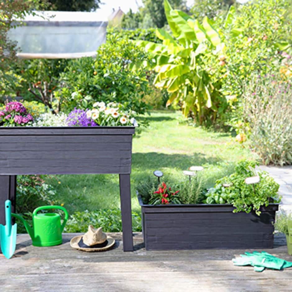 Buy Urban balcony raised bed: Delivery by Crocus