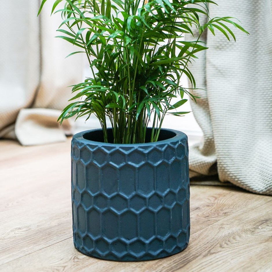 Buy Geometric cement planter teal: Delivery by Crocus