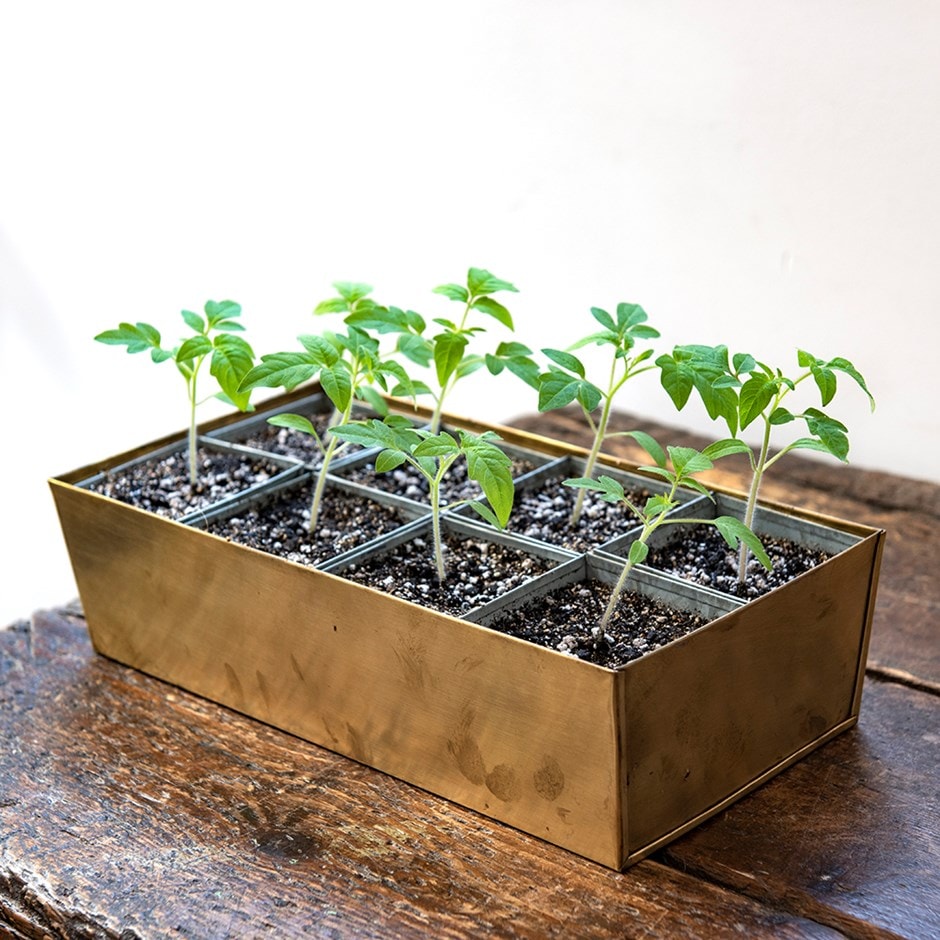 Brass tray with 8 grow pods