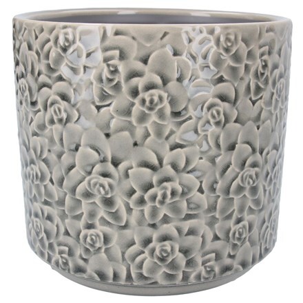 Grey succulents ceramic pot cover