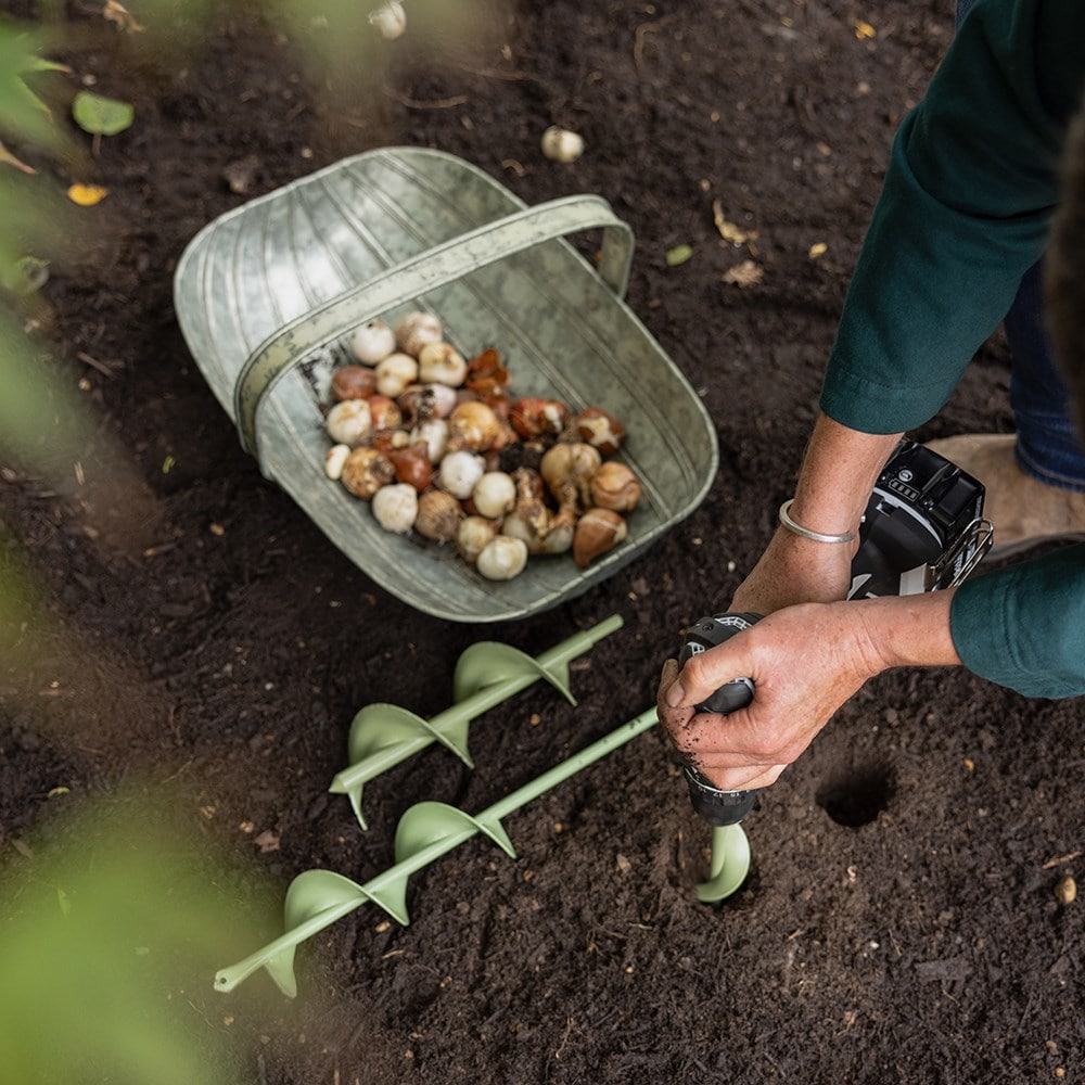 Product options image