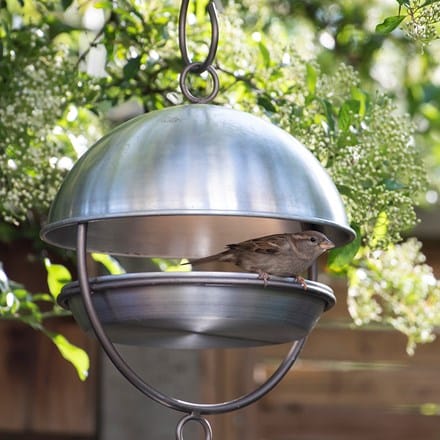 Picture of Brushed aluminium hanging bird feeding dome