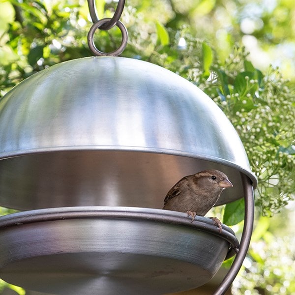 Brushed aluminium hanging bird feeding dome