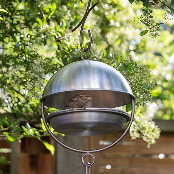 Brushed aluminium hanging bird feeding dome