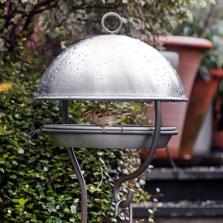Picture of Brushed aluminium stake bird feeding dome