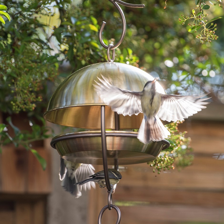 Buy Brushed brass hanging bird feeding dome