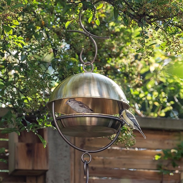 Brushed brass hanging bird feeding dome