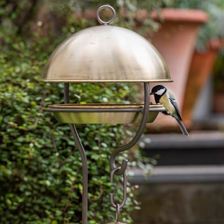 Picture of Brushed brass stake bird feeding dome