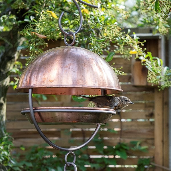 Buy Brushed copper hanging bird feeding dome: Delivery by Crocus