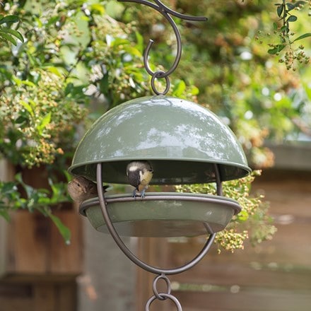 Crocus green hanging bird feeding dome