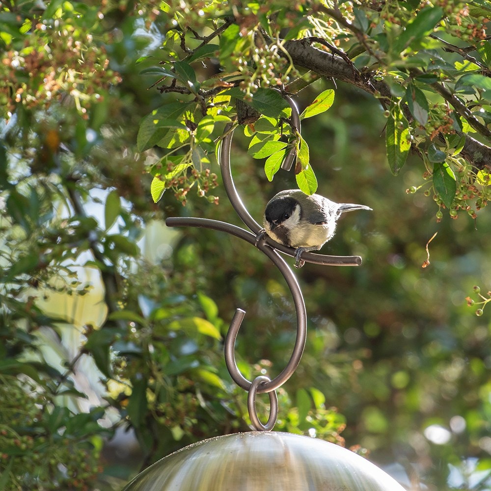 Product options image