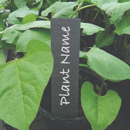 Slate plant labels
