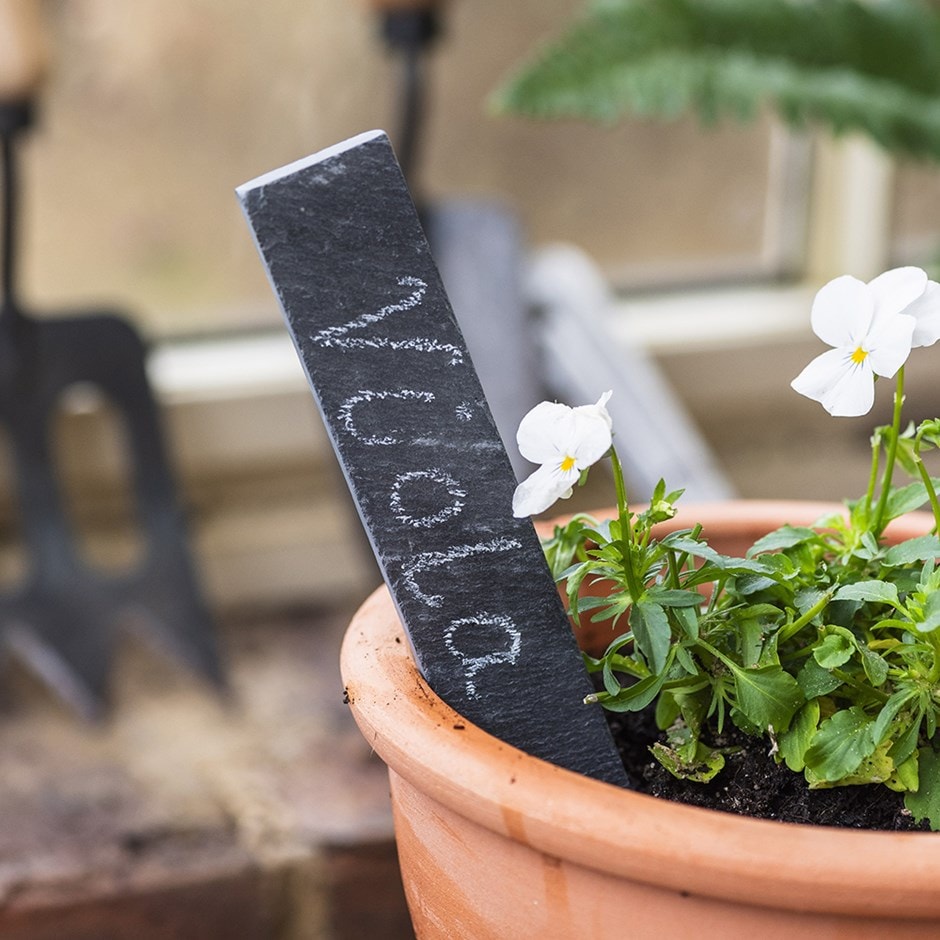buy slate plant labels delivery by waitrose garden