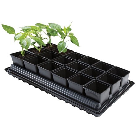 Picture of Professional vegetable tray set