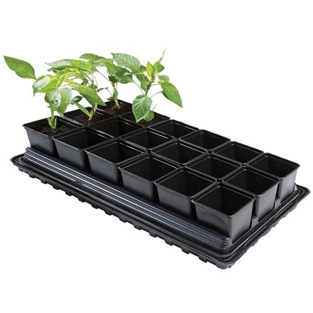 Professional vegetable tray set