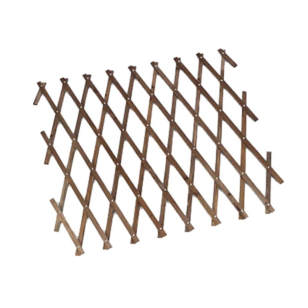 Expanding trellis store