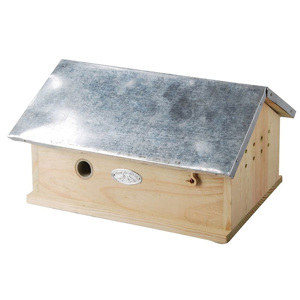 Product options image