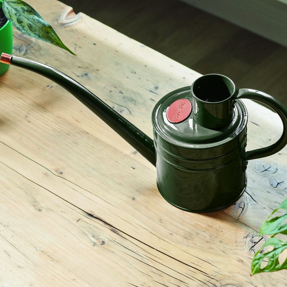 Buy Indoor Watering Can Delivery By Crocus   Pr2000040803 