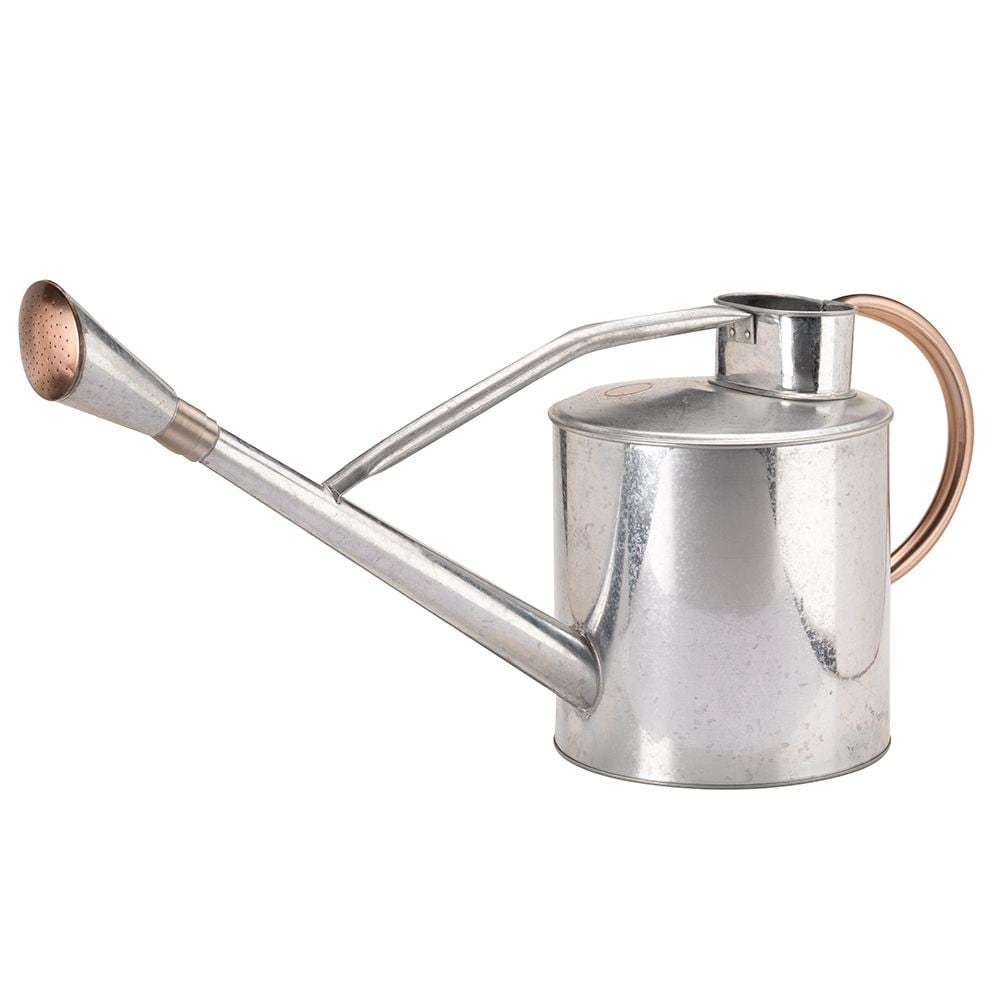 Long reach watering can