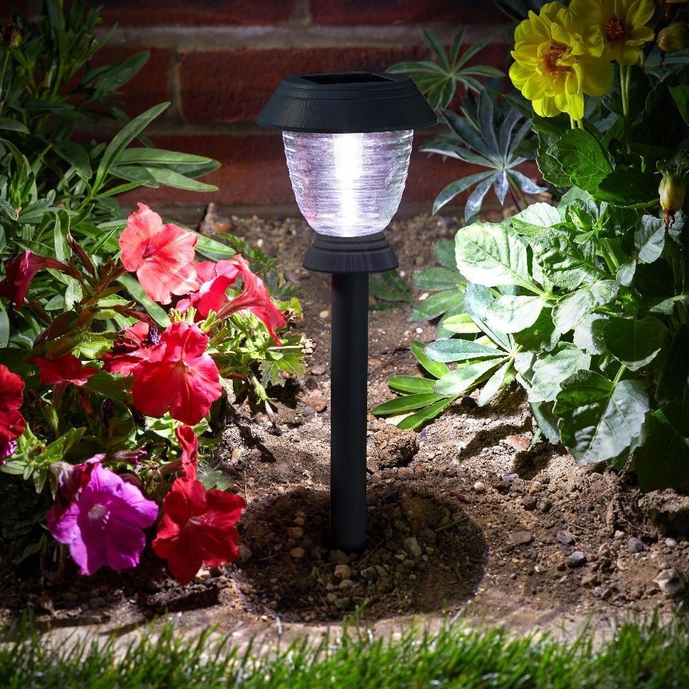 Cool white deals solar garden lights