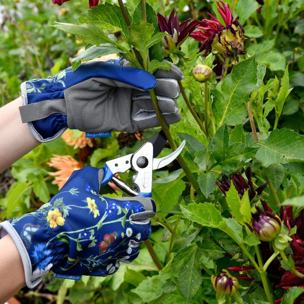 Product options image