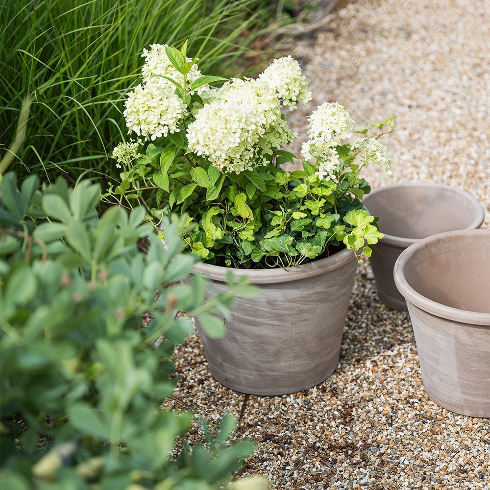 Marbled grey Italian terracotta pot