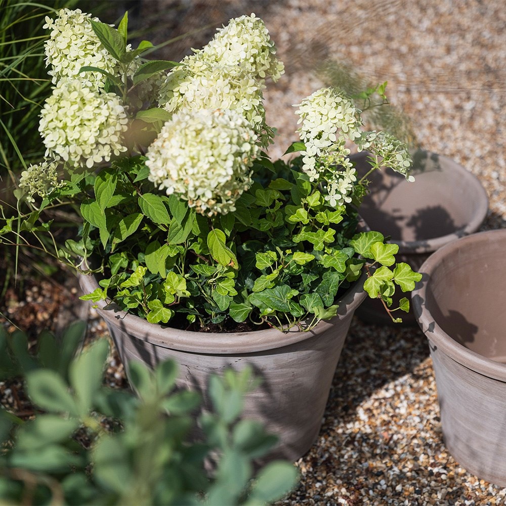 Marbled grey Italian terracotta pot