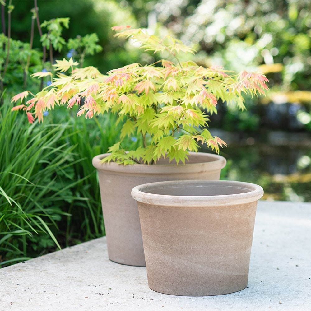 Product options image