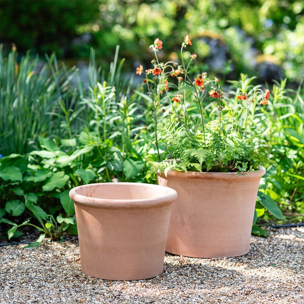 Product options image