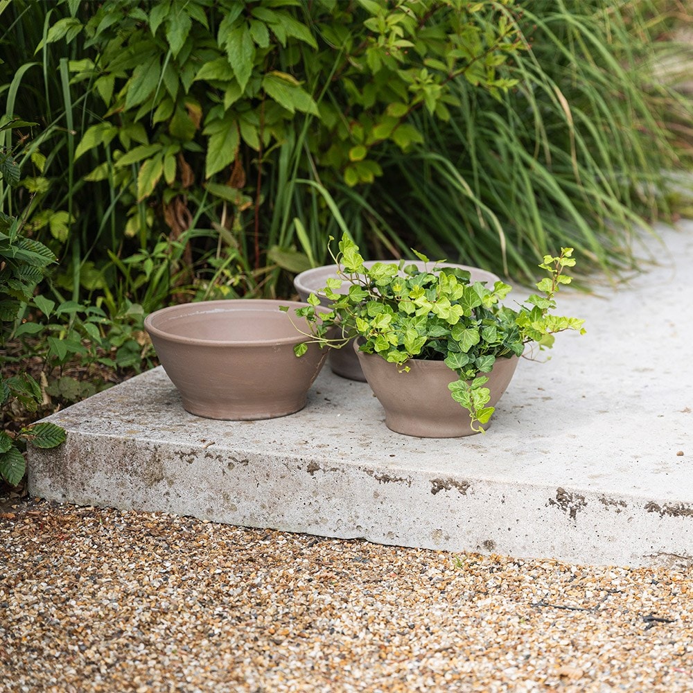 Italian terracotta bowl planter - grey