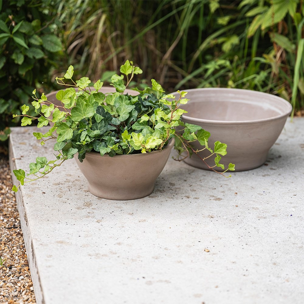 Italian terracotta bowl planter - grey